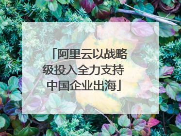 阿里云以战略级投入全力支持中国企业出海