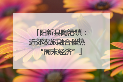 阳新县陶港镇：近郊农旅融合催热“周末经济”