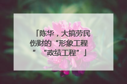 陈华，大搞劳民伤财的“形象工程”“政绩工程”