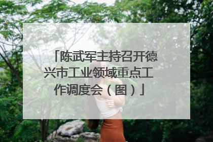 陈武军主持召开德兴市工业领域重点工作调度会（图）