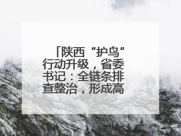 陕西“护鸟”行动升级，省委书记：全链条排查整治，形成高压震慑态势