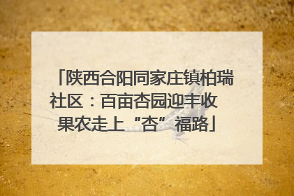 陕西合阳同家庄镇柏瑞社区：百亩杏园迎丰收 果农走上“杏”福路