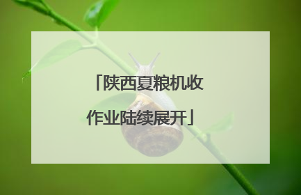 陕西夏粮机收作业陆续展开
