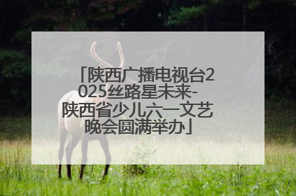 陕西广播电视台2025丝路星未来-陕西省少儿六一文艺晚会圆满举办