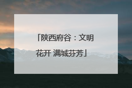 陕西府谷：文明花开 满城芬芳