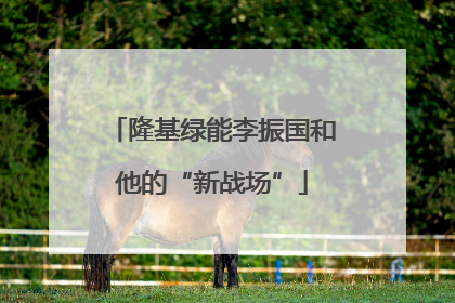 隆基绿能李振国和他的“新战场”