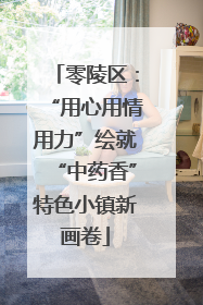 零陵区：“用心用情用力”绘就“中药香”特色小镇新画卷