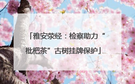 雅安荥经：检察助力“枇杷茶”古树挂牌保护