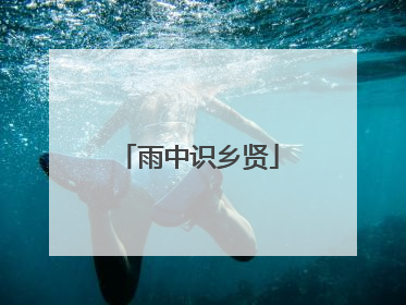 雨中识乡贤