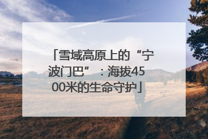 雪域高原上的“宁波门巴”：海拔4500米的生命守护