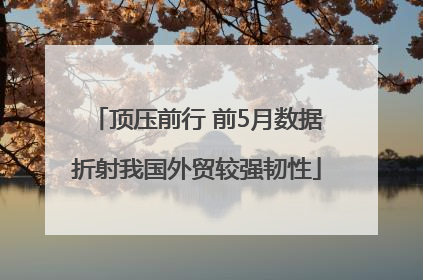 顶压前行 前5月数据折射我国外贸较强韧性