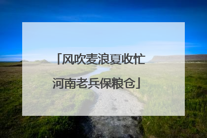风吹麦浪夏收忙 河南老兵保粮仓