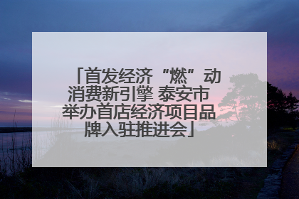 首发经济“燃”动消费新引擎 泰安市举办首店经济项目品牌入驻推进会