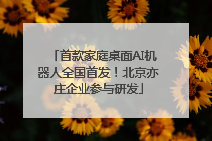 首款家庭桌面AI机器人全国首发！北京亦庄企业参与研发