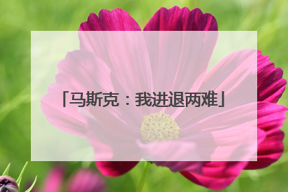 马斯克：我进退两难