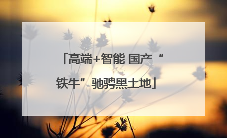 高端+智能 国产“铁牛”驰骋黑土地