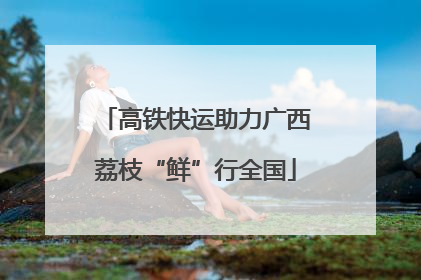 高铁快运助力广西荔枝“鲜”行全国