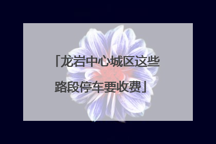 龙岩中心城区这些路段停车要收费