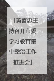黄喜忠主持召开市委学习教育集中整治工作推进会