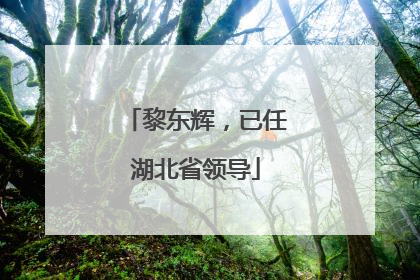 黎东辉，已任湖北省领导