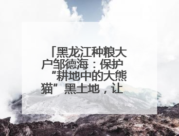 黑龙江种粮大户邹德海：保护“耕地中的大熊猫”黑土地，让增产可持续