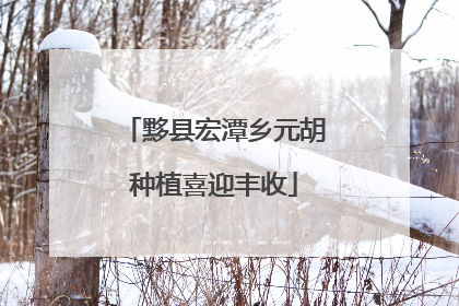 黟县宏潭乡元胡种植喜迎丰收
