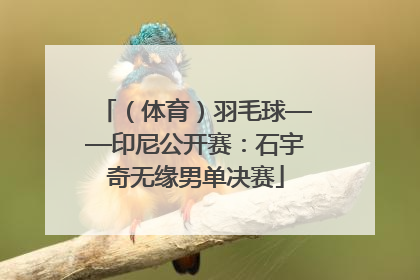 （体育）羽毛球——印尼公开赛：石宇奇无缘男单决赛