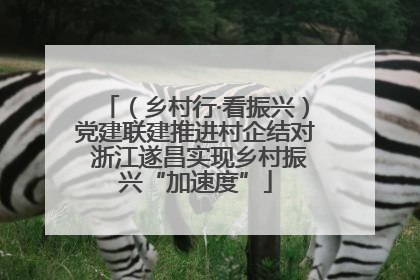 （乡村行·看振兴）党建联建推进村企结对 浙江遂昌实现乡村振兴“加速度”