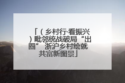 （乡村行·看振兴）毗邻统战破局“出圈” 浙沪乡村绘就共富新图景