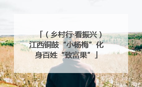 （乡村行·看振兴）江西铜鼓“小杨梅”化身百姓“致富果”