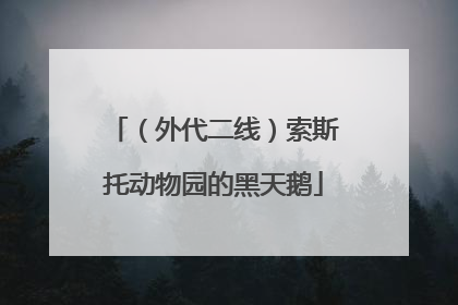 （外代二线）索斯托动物园的黑天鹅