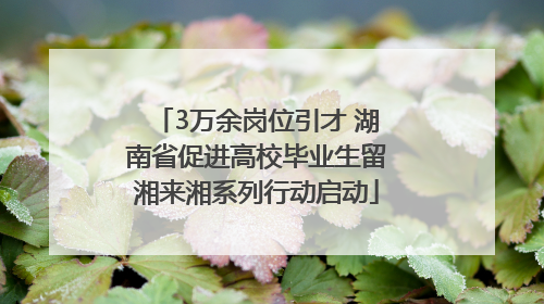 3万余岗位引才 湖南省促进高校毕业生留湘来湘系列行动启动