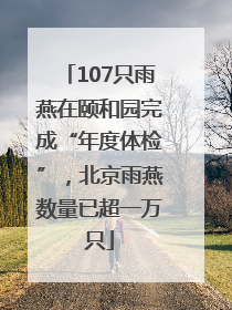 107只雨燕在颐和园完成“年度体检”，北京雨燕数量已超一万只
