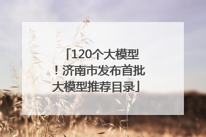 120个大模型！济南市发布首批大模型推荐目录
