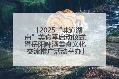 2025“味道湖南”美食季启动仪式暨岳阳啤酒美食文化交流推广活动举办