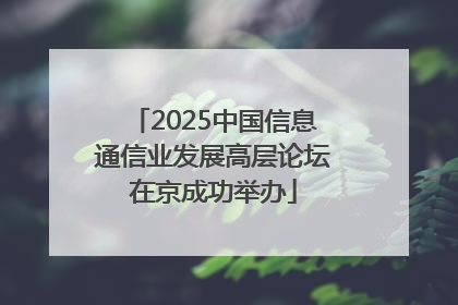 2025中国信息通信业发展高层论坛在京成功举办
