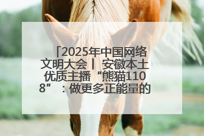 2025年中国网络文明大会丨 安徽本土优质主播“熊猫1108”：做更多正能量的事情 带给大家快乐