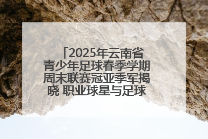 2025年云南省青少年足球春季学期周末联赛冠亚季军揭晓 职业球星与足球小将共享荣耀时刻