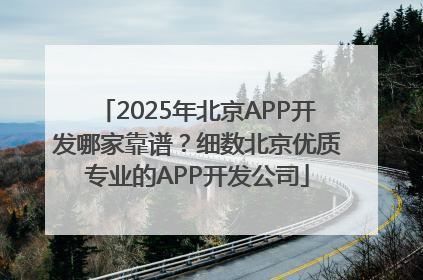 2025年北京APP开发哪家靠谱？细数北京优质专业的APP开发公司