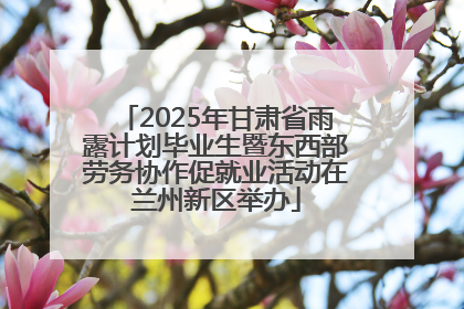 2025年甘肃省雨露计划毕业生暨东西部劳务协作促就业活动在兰州新区举办