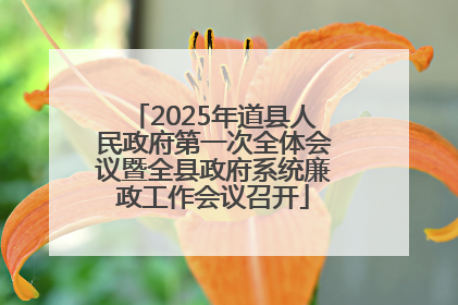 2025年道县人民政府第一次全体会议暨全县政府系统廉政工作会议召开