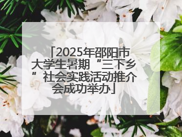 2025年邵阳市大学生暑期“三下乡”社会实践活动推介会成功举办