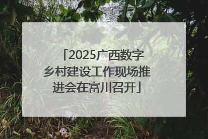 2025广西数字乡村建设工作现场推进会在富川召开