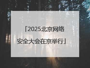 2025北京网络安全大会在京举行