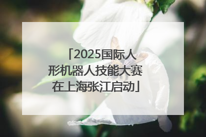 2025国际人形机器人技能大赛在上海张江启动