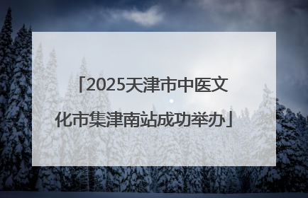 2025天津市中医文化市集津南站成功举办
