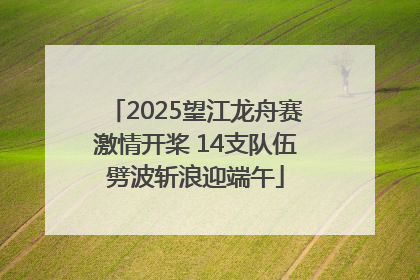 2025望江龙舟赛激情开桨 14支队伍劈波斩浪迎端午