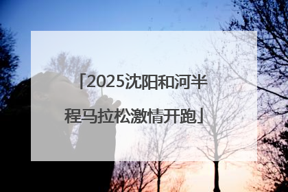 2025沈阳和河半程马拉松激情开跑