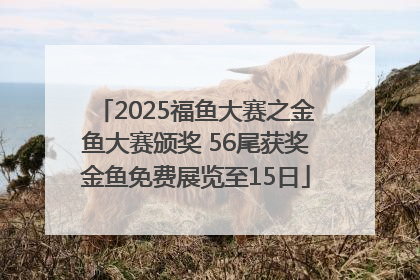 2025福鱼大赛之金鱼大赛颁奖 56尾获奖金鱼免费展览至15日