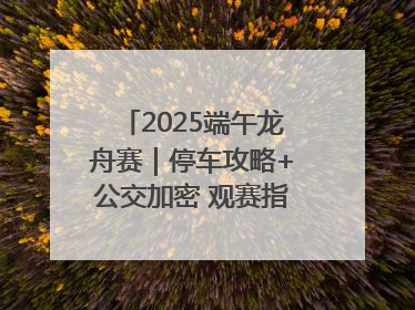 2025端午龙舟赛｜停车攻略+公交加密 观赛指南来了！